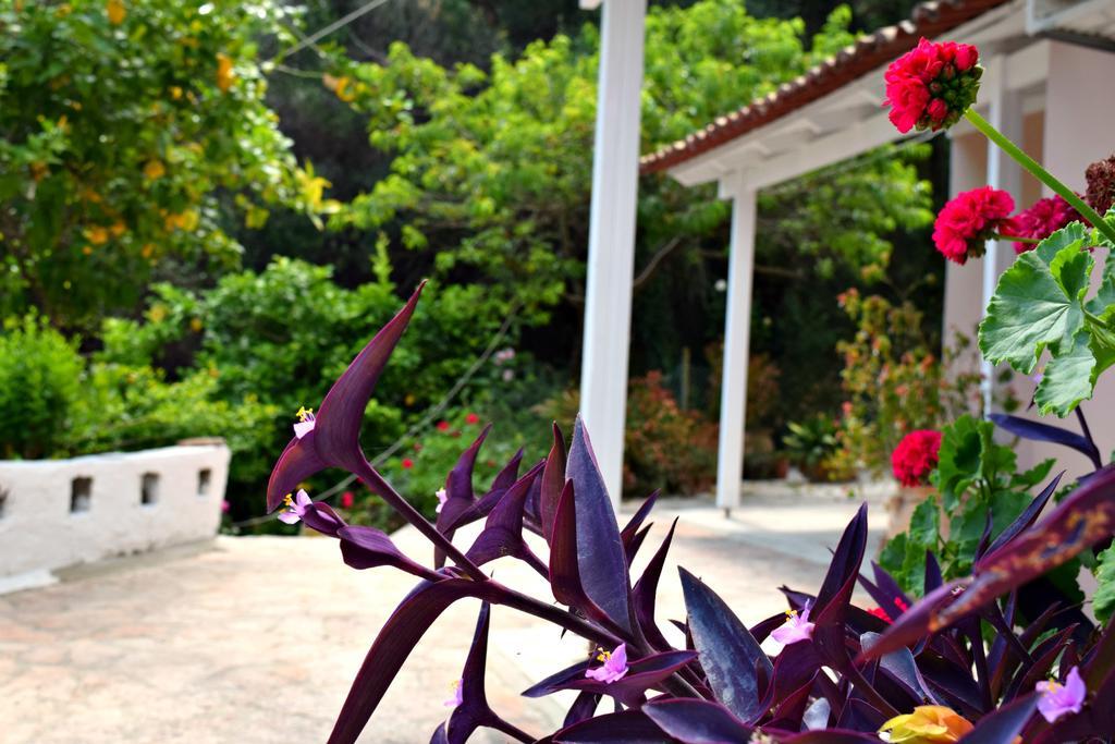 Apartamento Eden Sea View *