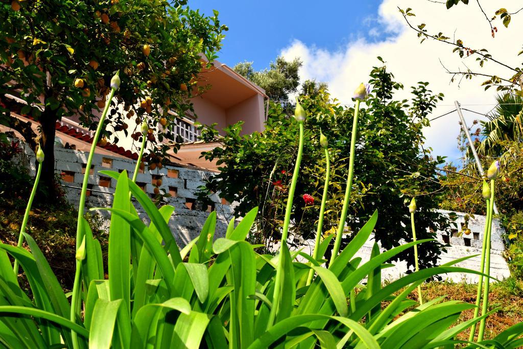 Apartamento Eden Sea View *