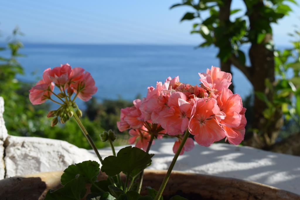 Eden Sea View Apartamento Mesongí
